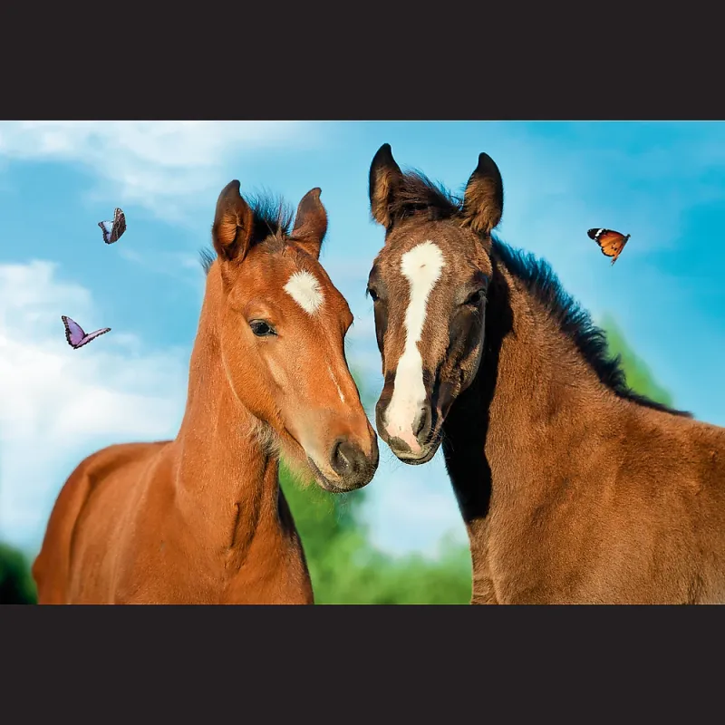 TREFL mini puzzle Lovely animals 54 pcs