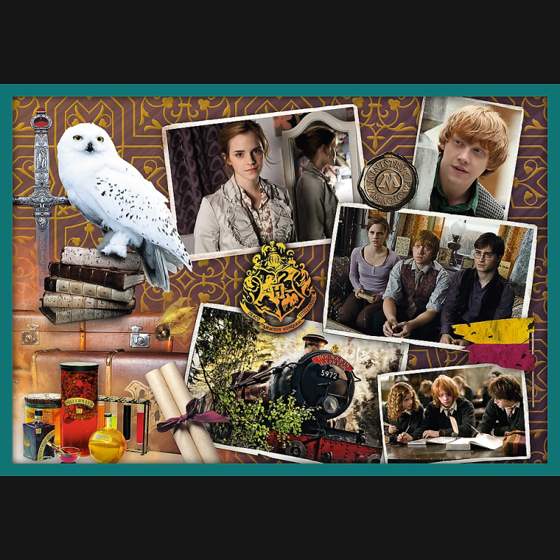 TREFL HARRY POTTER Pužļu komplekts 10in1