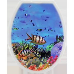 Sēdpoda vāks UNI, Koral