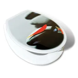 Sēdpoda vāks UNI, Bora