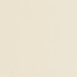 Žalūzija shantung 875 60x170