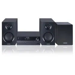 Centras muzikinis ms55sub blaupunkt