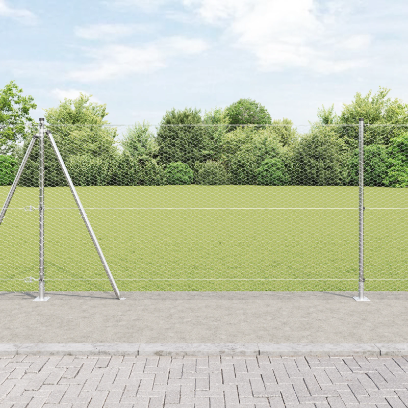 vidaXL Žoga āķis Sudraba 25 x 1,2 m ,25 mm acs, Tērauds