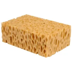 Nuustik Comensal, 14 cm x 11 cm