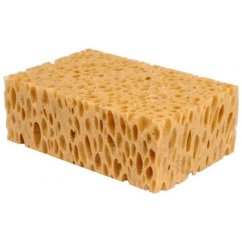 Sūklīs Comensal, 14 cm x 11 cm