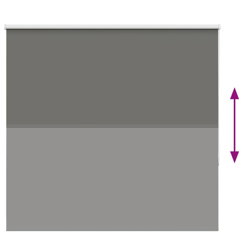 vidaXL Rullo žalūzija Blackout pelēks 155x150cm Auduma platums 151,6cm