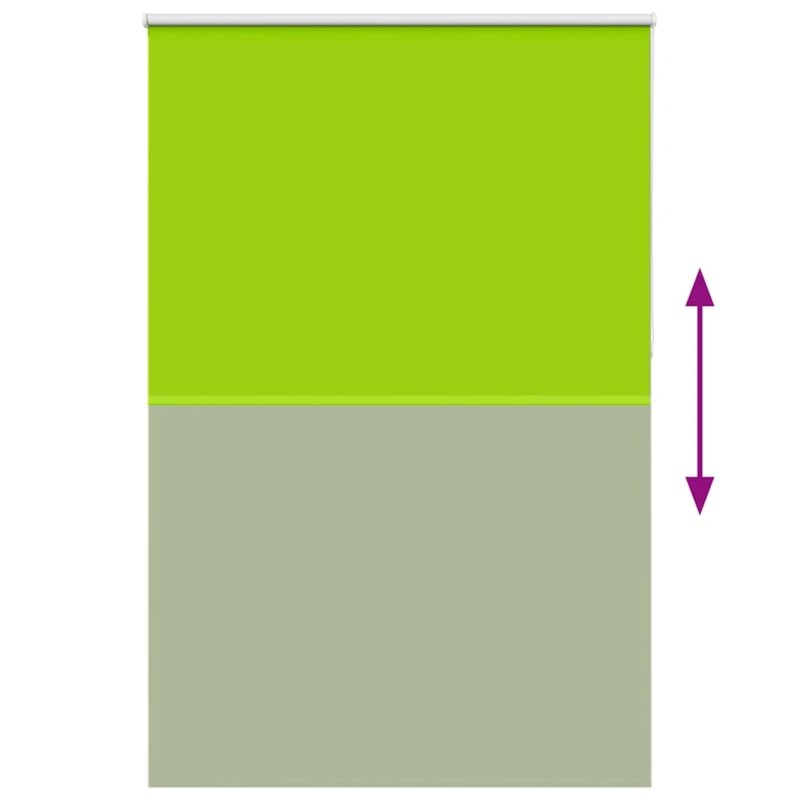 vidaXL Rullo žalūzija Blackout lapas zaļas 165x210cm Auduma platums