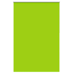 vidaXL Rullo žalūzija Blackout lapas zaļas 160x230cm Auduma platums