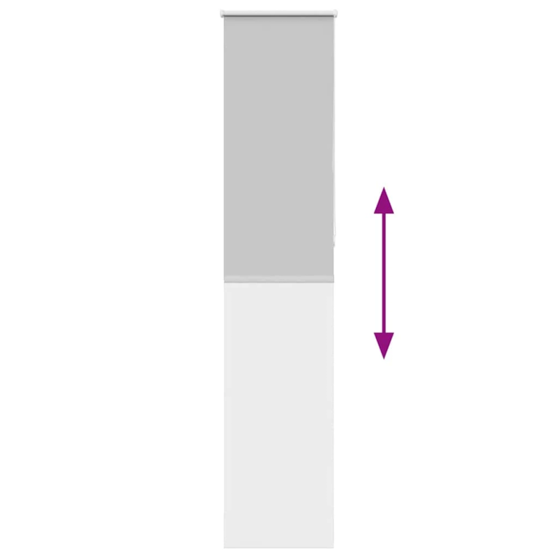 vidaXL rullo žalūzija gaiši pelēks 60x230cm auduma platums 55,7cm