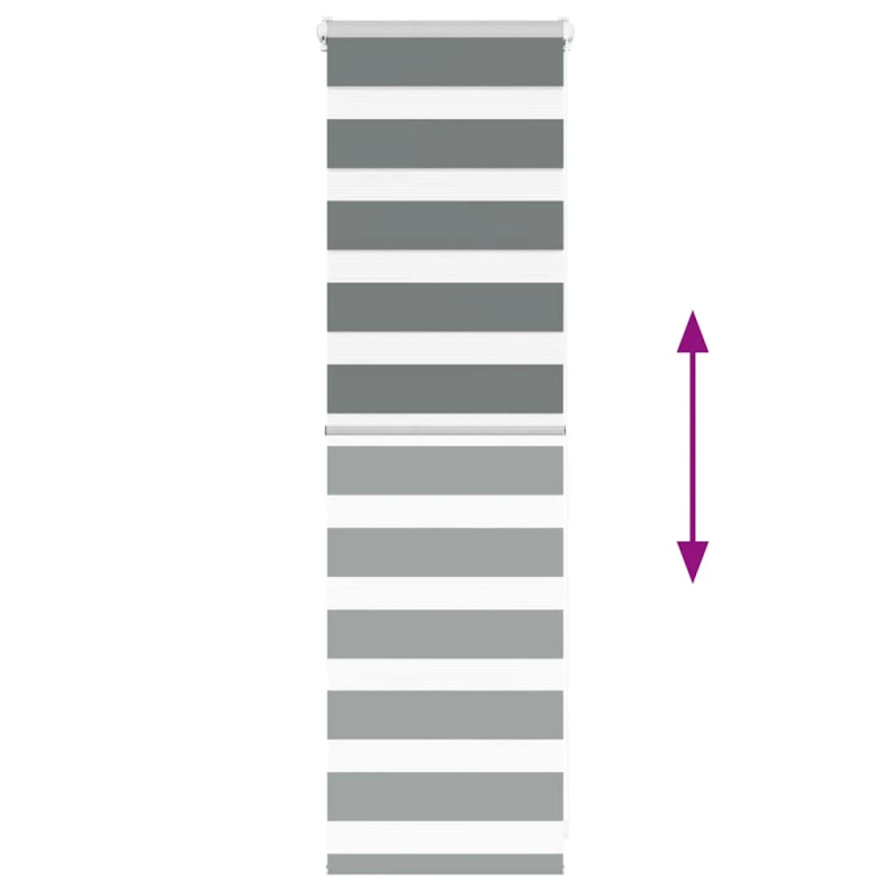 vidaXL žalūzijas zebra 45x100 cm auduma platums 40,9 cm poliesters