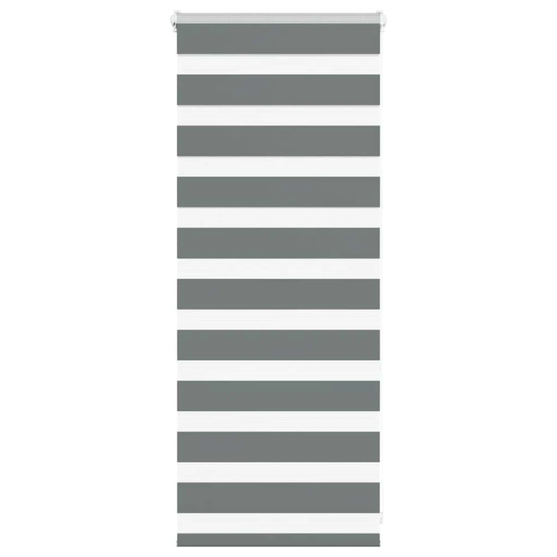 vidaXL žalūzijas zebra 55x100 cm auduma platums 50,9 cm poliesters