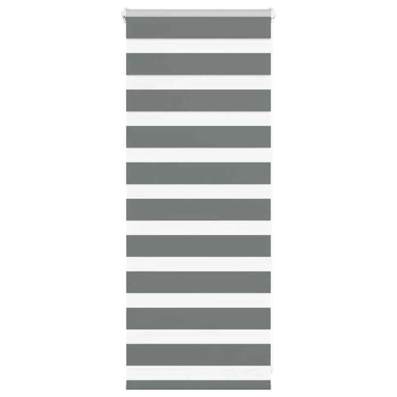 vidaXL žalūzijas zebra 60x100 cm auduma platums 55,9 cm poliesters