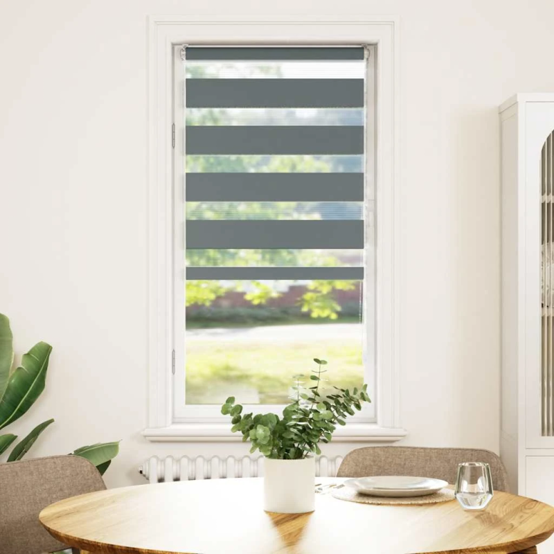 vidaXL žalūzijas zebra 60x100 cm auduma platums 55,9 cm poliesters