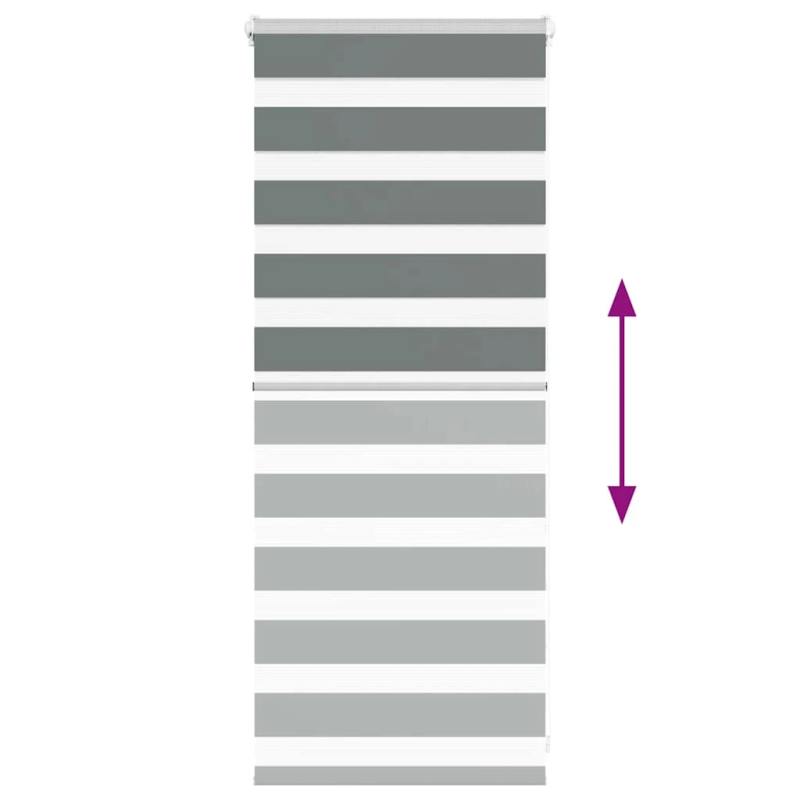 vidaXL žalūzijas zebra 60x100 cm auduma platums 55,9 cm poliesters