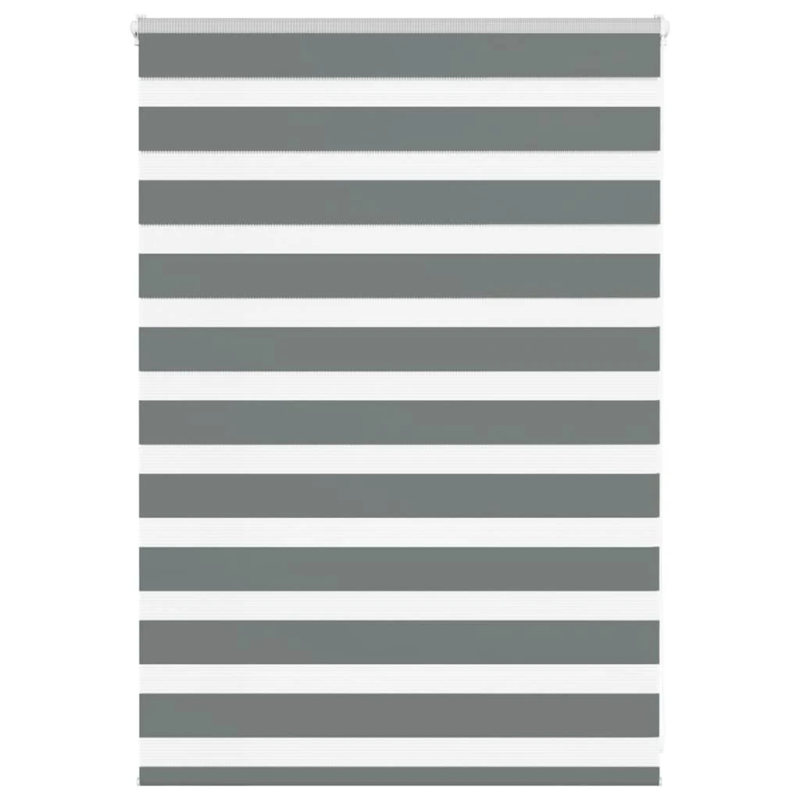 vidaXL žalūzijas zebra 95x100 cm auduma platums 90,9 cm poliesters