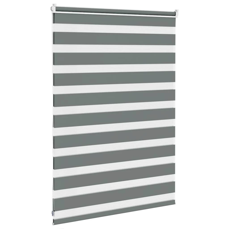 vidaXL žalūzijas zebra 95x100 cm auduma platums 90,9 cm poliesters