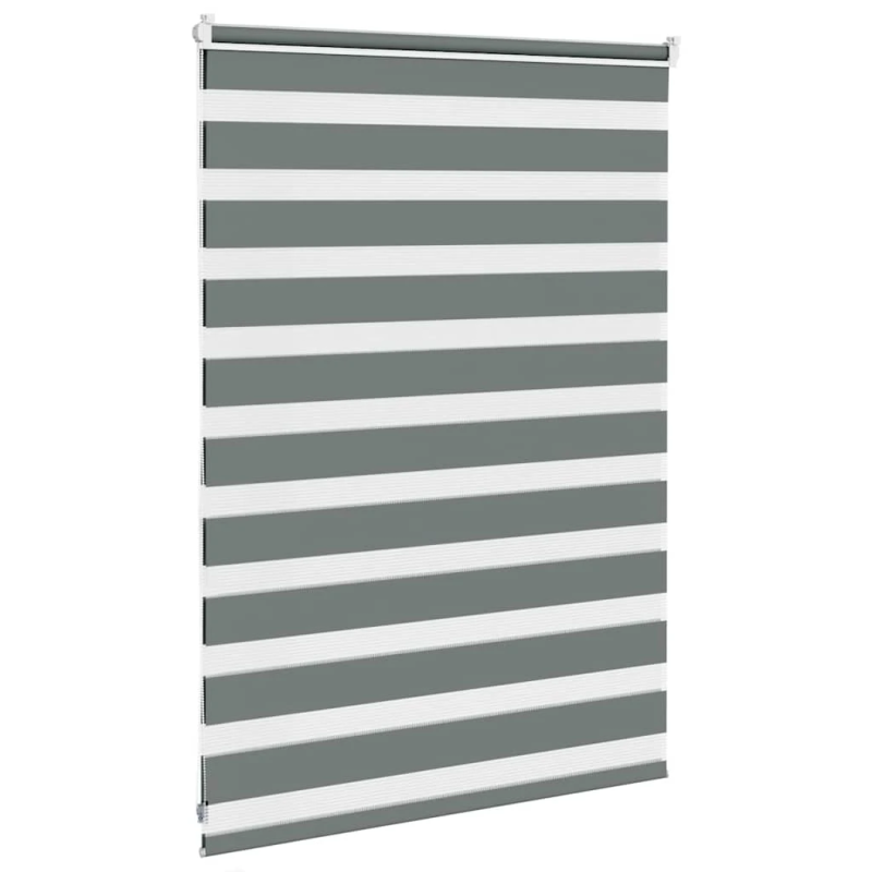 vidaXL žalūzijas zebra 100x100 cm auduma platums 95,9 cm poliesters