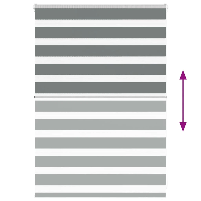 vidaXL žalūzijas zebra 100x100 cm auduma platums 95,9 cm poliesters