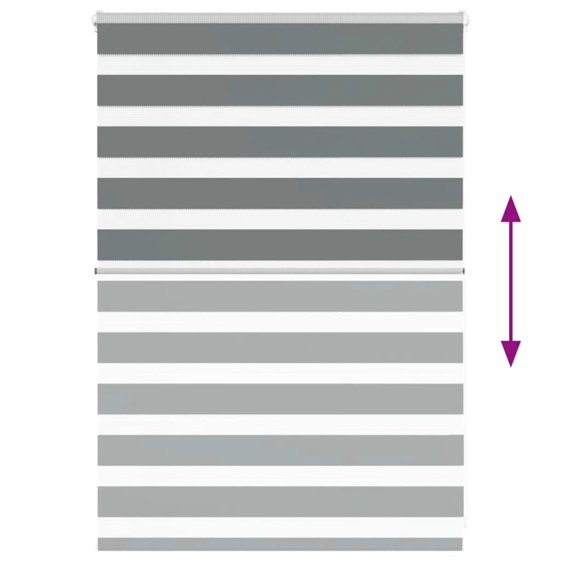 vidaXL žalūzijas zebra 115x100 cm auduma platums 110,9 cm poliesters