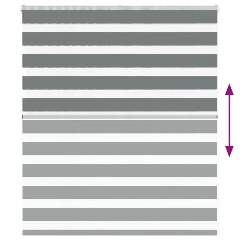 vidaXL žalūzijas zebra 120x100 cm auduma platums 115,9 cm poliesters