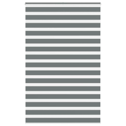 vidaXL žalūzijas zebra 140x230 cm auduma platums 135,9 cm poliesters