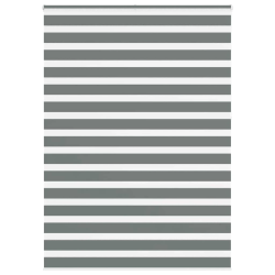 vidaXL žalūzijas zebra 160x230 cm auduma platums 155,9 cm poliesters