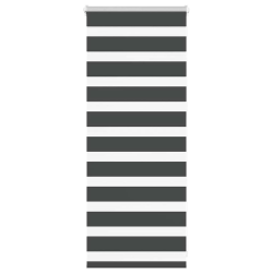 vidaXL žalūzijas zebra 60x100 cm auduma platums 55,9 cm poliesters