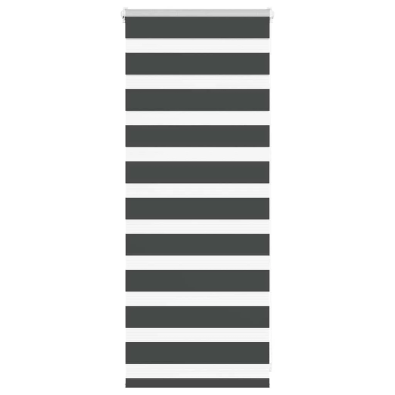 vidaXL žalūzijas zebra 60x100 cm auduma platums 55,9 cm poliesters
