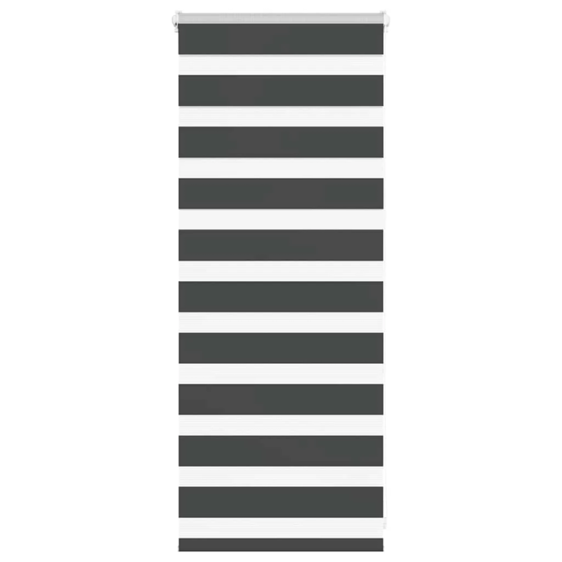 vidaXL žalūzijas zebra 65x100 cm auduma platums 60,9 cm poliesters