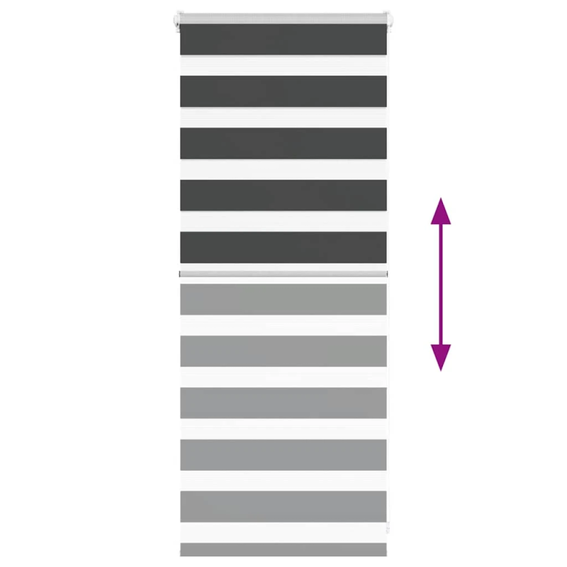 vidaXL žalūzijas zebra 65x100 cm auduma platums 60,9 cm poliesters