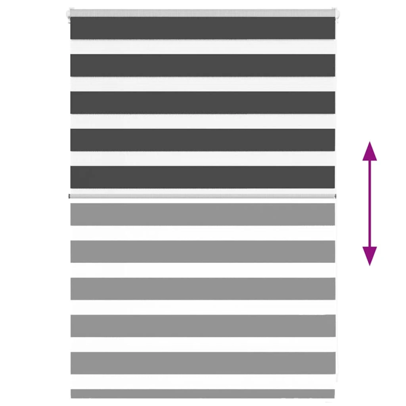 vidaXL žalūzijas zebra 115x100 cm auduma platums 110,9 cm poliesters