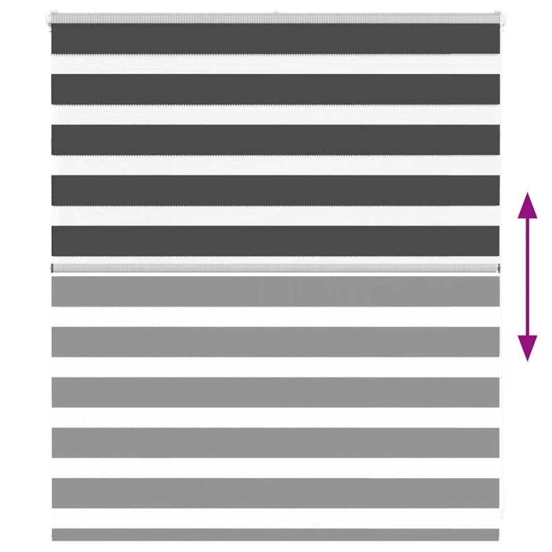 vidaXL žalūzijas zebra 120x100 cm auduma platums 115,9 cm poliesters