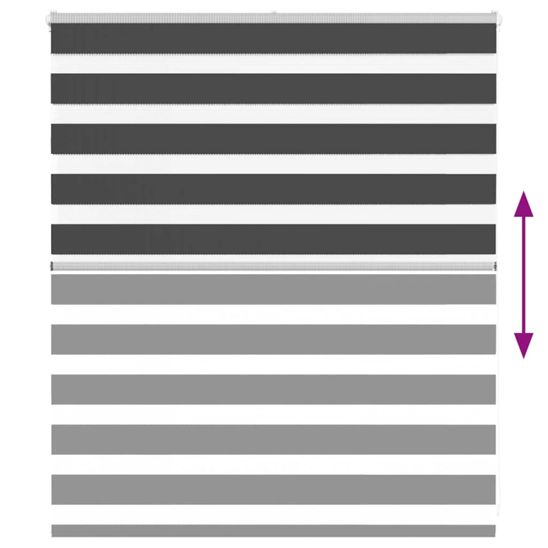 vidaXL žalūzijas zebra 125x100 cm auduma platums 120,9 cm poliesters