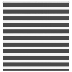 vidaXL žalūzijas zebra 150x100 cm auduma platums 145,9 cm poliesters