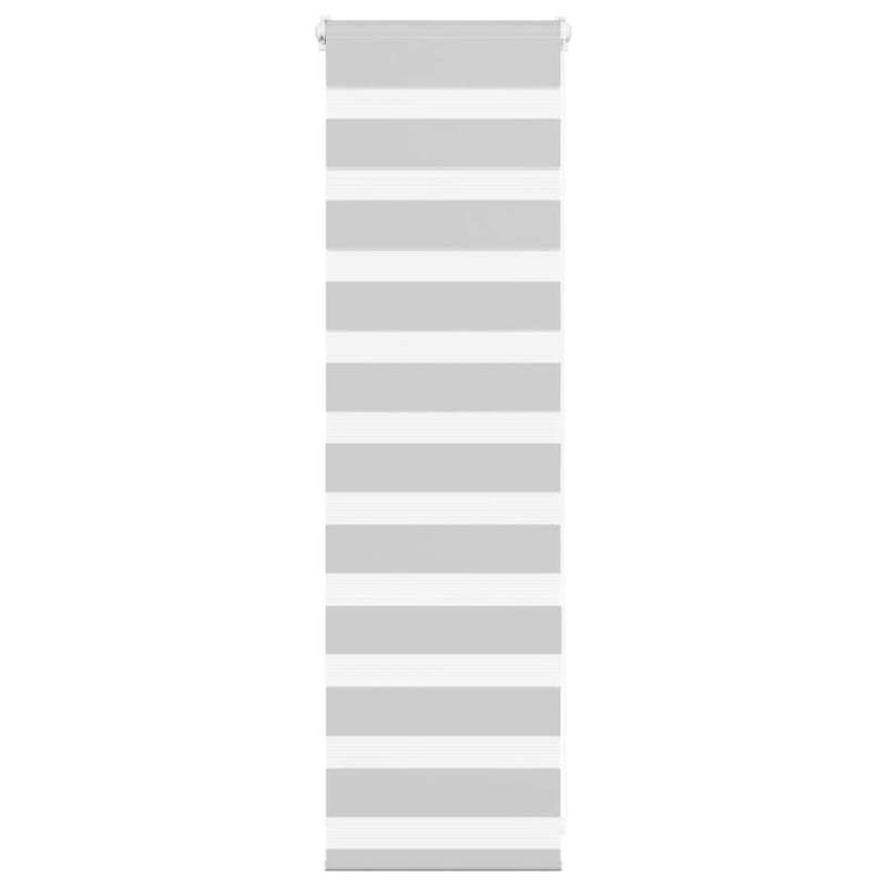 vidaXL žalūzijas zebra 40x100 cm auduma platums 35,9 cm poliesters