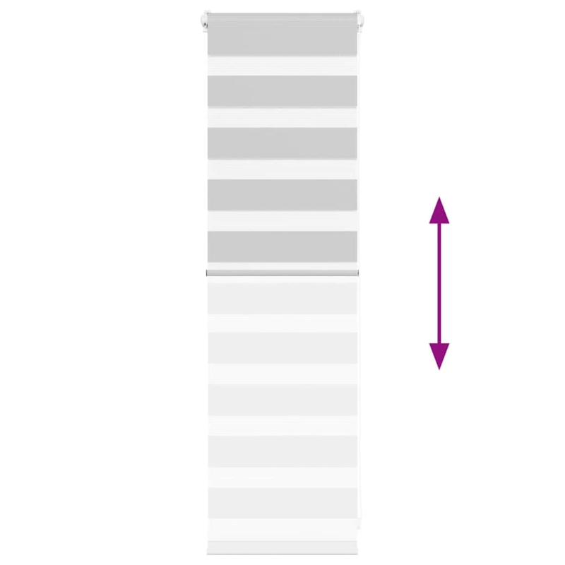 vidaXL žalūzijas zebra 45x100 cm auduma platums 40,9 cm poliesters