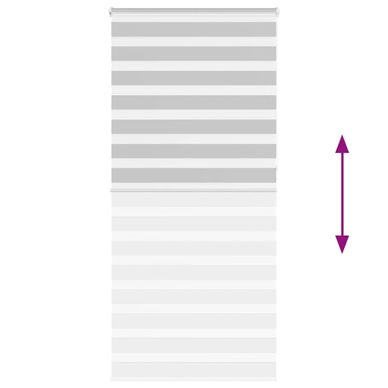 vidaXL žalūzijas zebra 105x230 cm auduma platums 100,9 cm poliesters