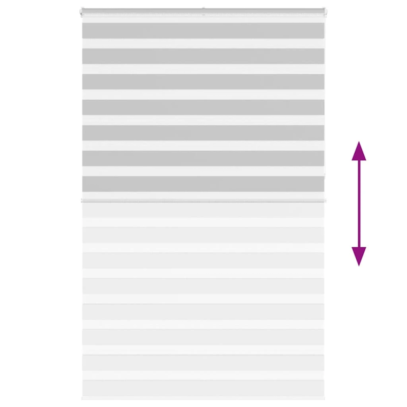 vidaXL žalūzijas zebra 140x230 cm auduma platums 135,9 cm poliesters