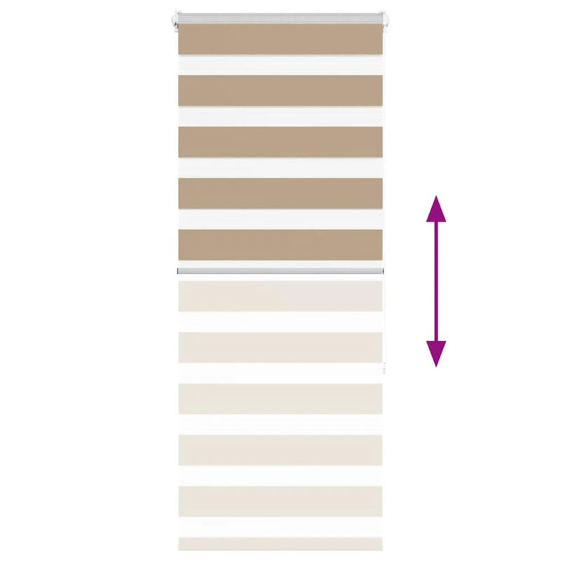 vidaXL žalūzijas zebra 60x150 cm auduma platums 55,9 cm poliesters
