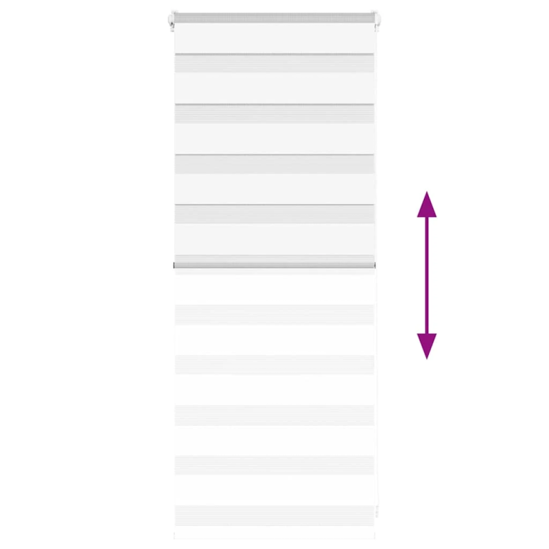 vidaXL žalūzijas zebra 55x100 cm auduma platums 50,9 cm poliesters