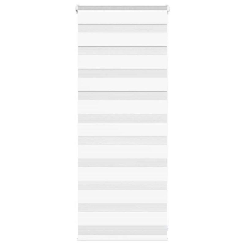 vidaXL žalūzijas zebra 60x100 cm auduma platums 55,9 cm poliesters