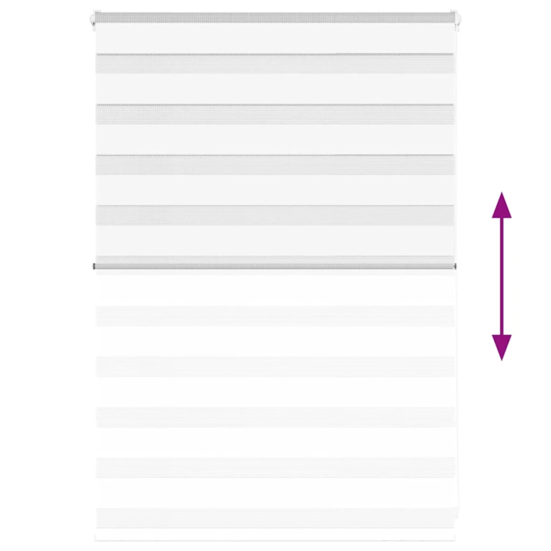 vidaXL žalūzijas zebra 100x100 cm auduma platums 95,9 cm poliesters