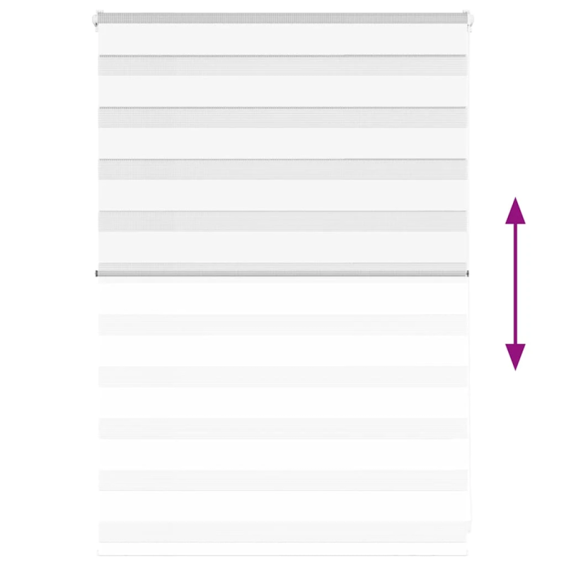 vidaXL žalūzijas zebra 105x100 cm auduma platums 100,9 cm poliesters