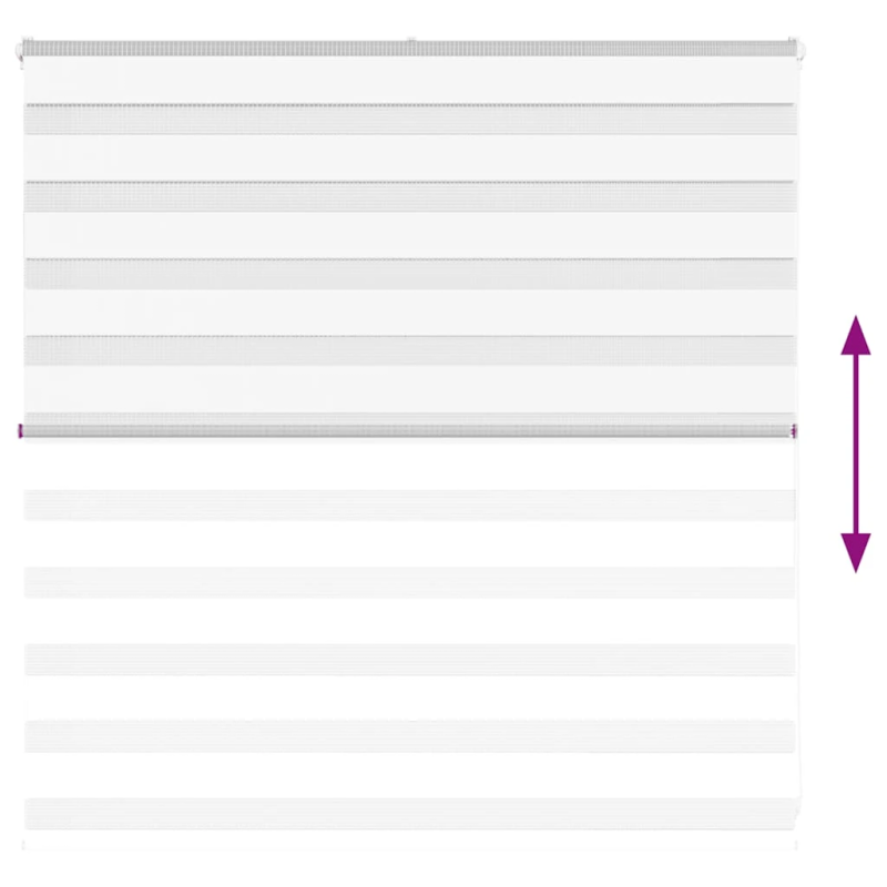 vidaXL žalūzijas zebra 145x100 cm auduma platums 140,9 cm poliesters