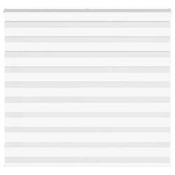 vidaXL žalūzijas zebra 165x100 cm auduma platums 160,9 cm poliesters