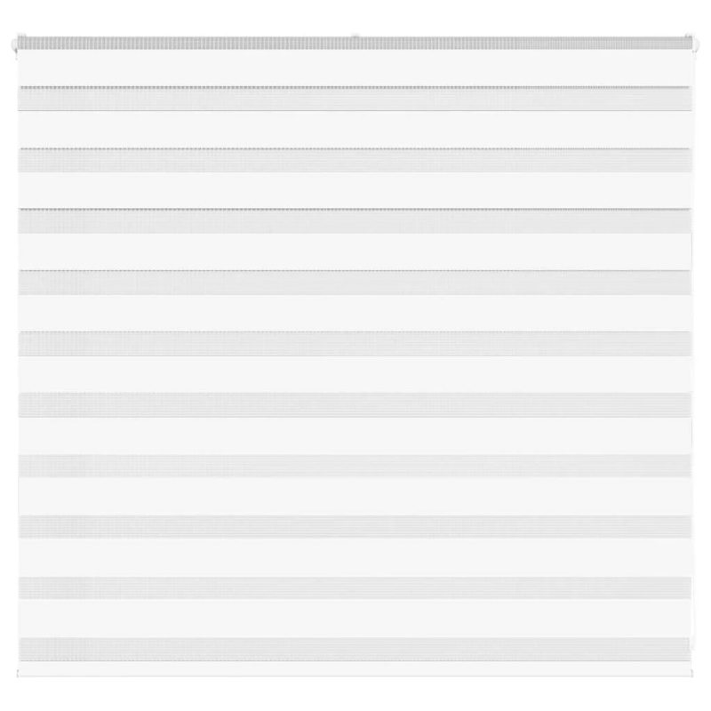 vidaXL žalūzijas zebra 165x100 cm auduma platums 160,9 cm poliesters