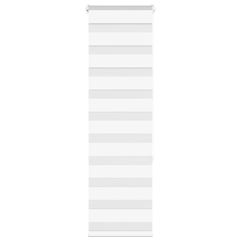 vidaXL žalūzijas zebra 40x150 cm auduma platums 35,9 cm poliesters