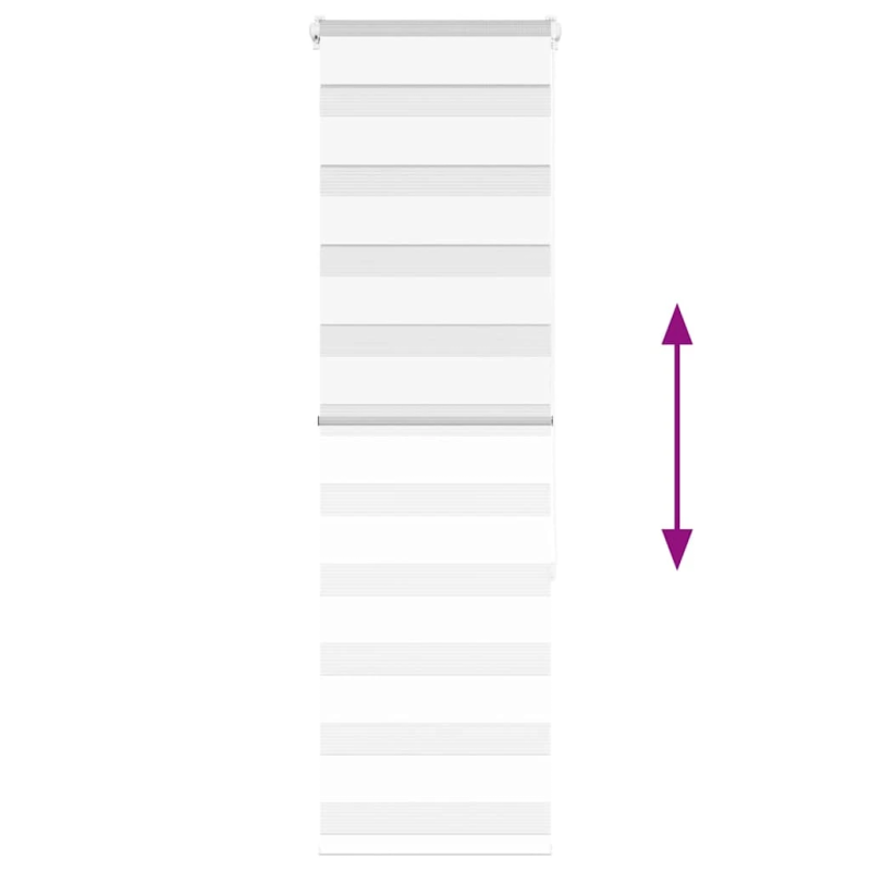 vidaXL žalūzijas zebra 50x150 cm auduma platums 45,9 cm poliesters