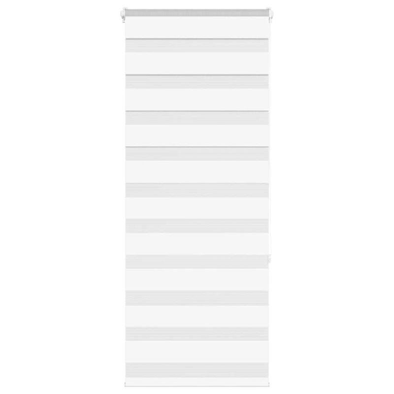 vidaXL žalūzijas zebra 55x150 cm auduma platums 50,9 cm poliesters