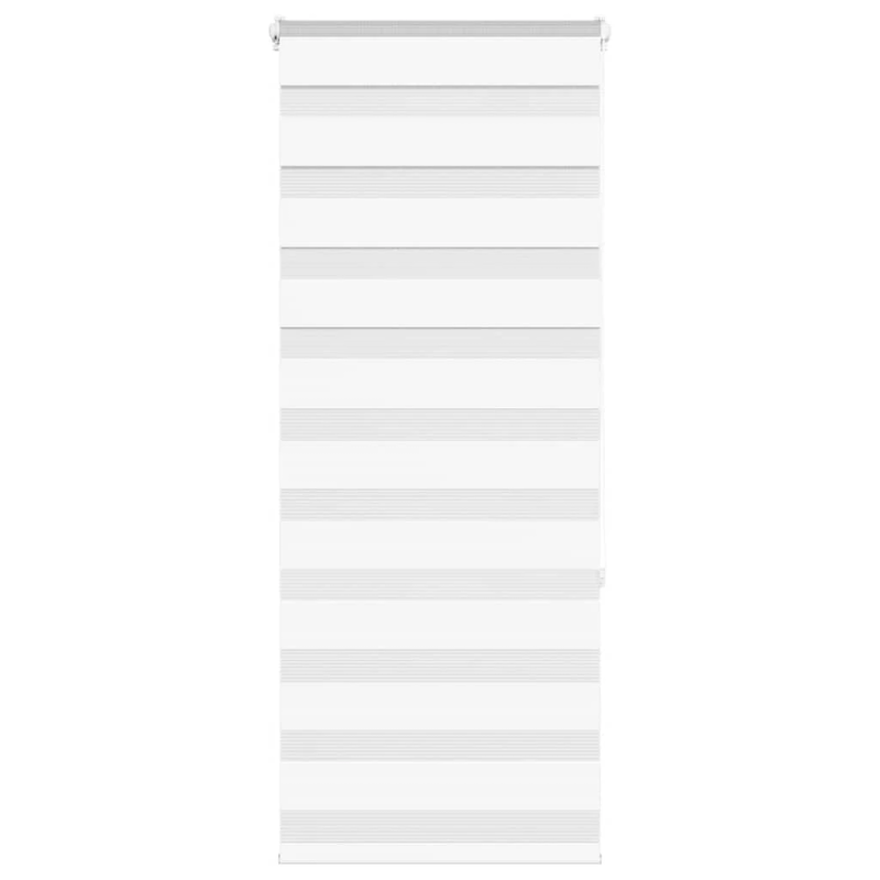 vidaXL žalūzijas zebra 60x150 cm auduma platums 55,9 cm poliesters